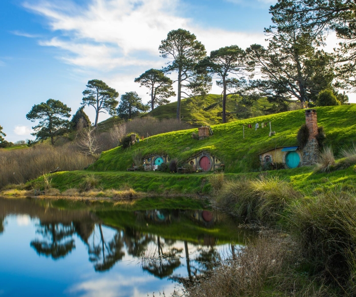 Vanuit Auckland: dagtrip Hobbiton & Waitomo Caves met lunch