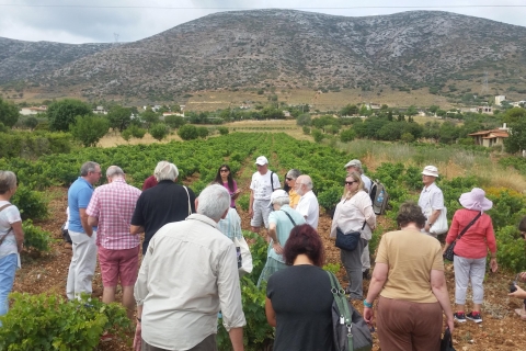 Athen: Private Weintour und Mittagessen am Meer