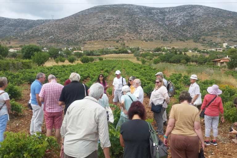 Atenas: tour privado de vinos y almuerzo en la playa