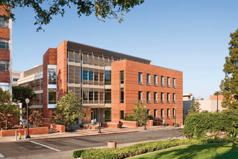 Los Angeles: UCLA Campus Guided Walking Tour