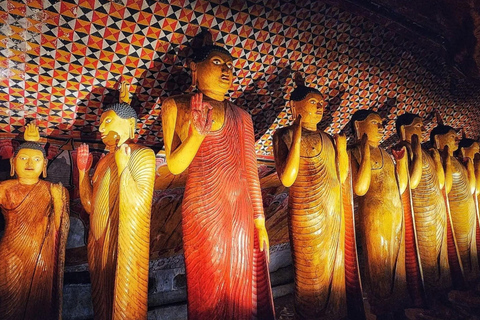 From Kandy: Sigiriya, Dambulla, & Minneriya Private Day Trip