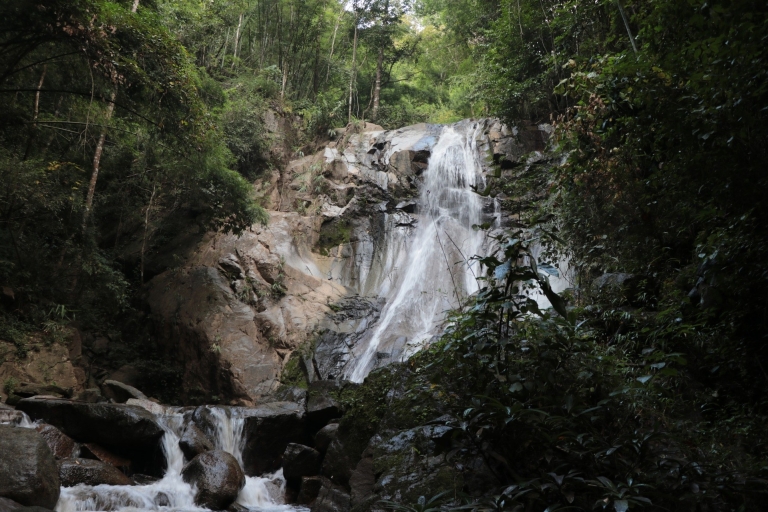 Chiang Mai: Verken bossen naar watervallen en waterraftenVolledige dag ervaring met trektochtoverdracht door Van