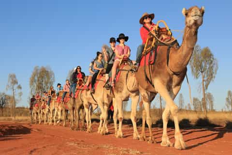 Uluru: Sunrise Camel Safari and Freshly Baked Bread Damper