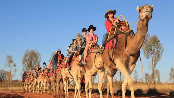 uluru sunrise camel safari and freshly baked bread damper