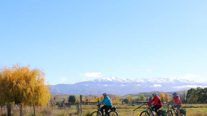 otago rail trail selfguided biking experience