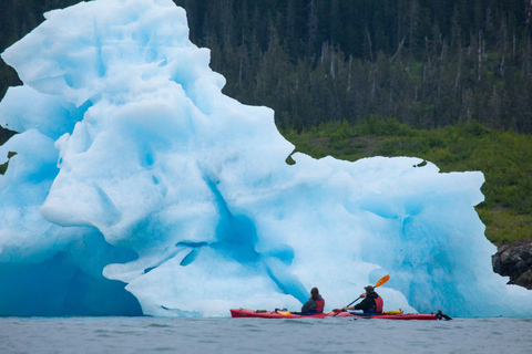 Valdez: Columbia Glacier Sea Kayak Day Tour