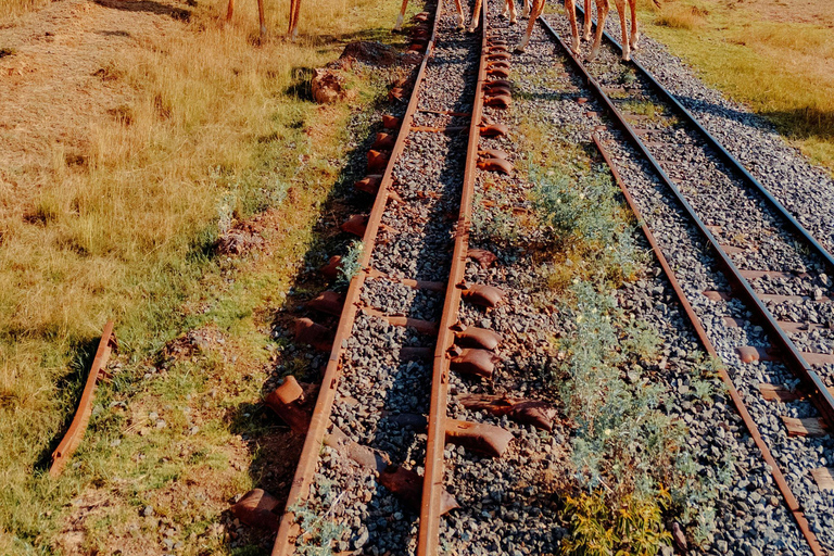 Nairobi: 3-Day Great Rift Valley Safari with Boat Ride