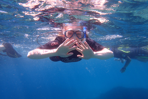 Maiorca: Mergulho de Snorkel em uma Bela Reserva Natural