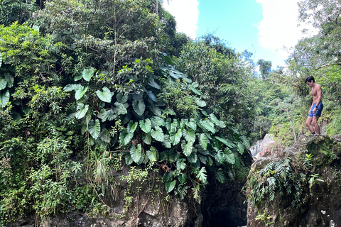 Excursion à El Yunque, rivière et toboggans aquatiques