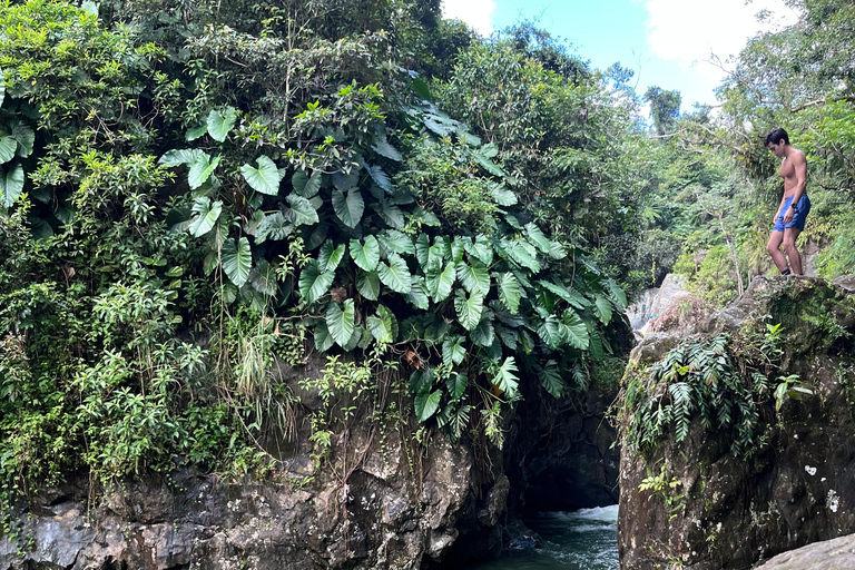 Excursion à El Yunque, rivière et toboggans aquatiques