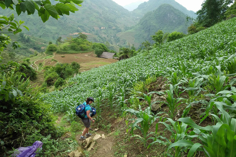 Von Hanoi aus: 3-tägige Sa Pa Ethnic Homestay Trekking TourAb Hanoi: 3-tägige Wandertour in Sa Pa mit Gastfamilien