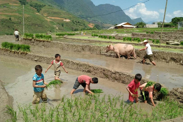 Von Hanoi aus: 3-tägige Sa Pa Ethnic Homestay Trekking TourAb Hanoi: 3-tägige Wandertour in Sa Pa mit Gastfamilien