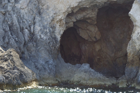 Privérondleiding door Navagio Shipwreck Beach en de Blue CavesPrivétour naar Navagio Shipwreck Beach en de Blue Caves