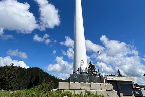 Vancouver: Capilano Bridge & Grouse Mountain All Inclusive