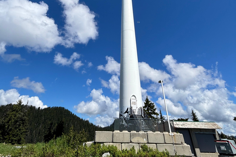 Vancouver: Capilano Bridge & Grouse Mountain All Inclusive