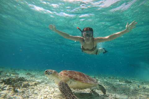 Snorkeltour naar beeld onder water en schildpaddenSnorkeltour bij zonsondergang