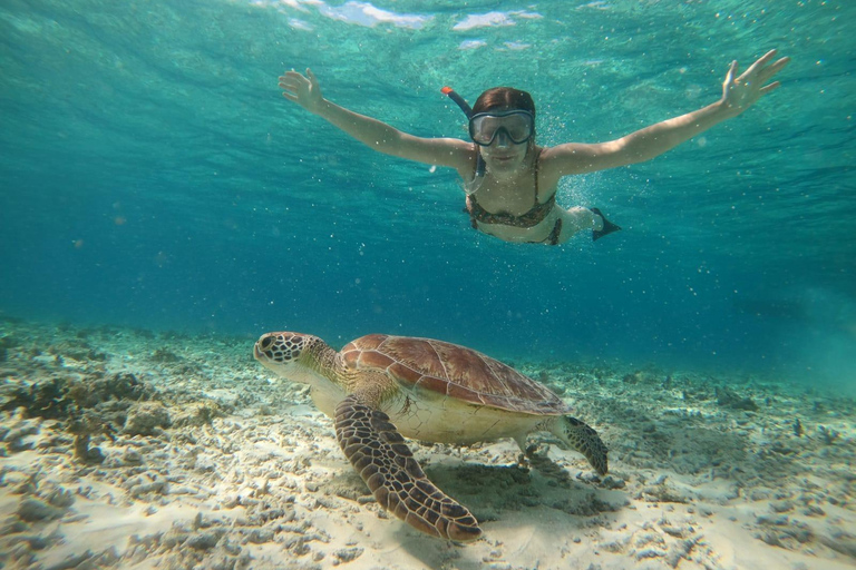 Snorkeltour naar beeld onder water en schildpaddenSnorkeltour bij zonsondergang