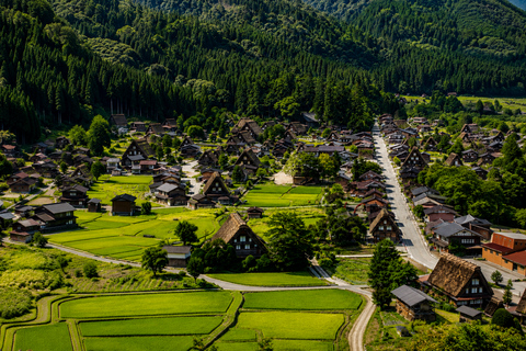 3-Day Scenic Journey from Nagoya to Tokyo