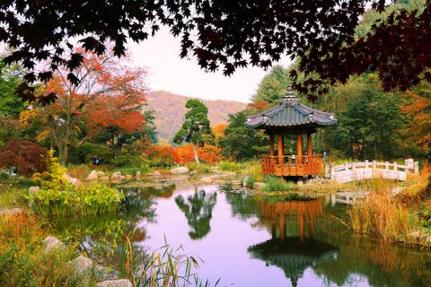 Nami Island, koreanske Garden of Morning Calm og sykling