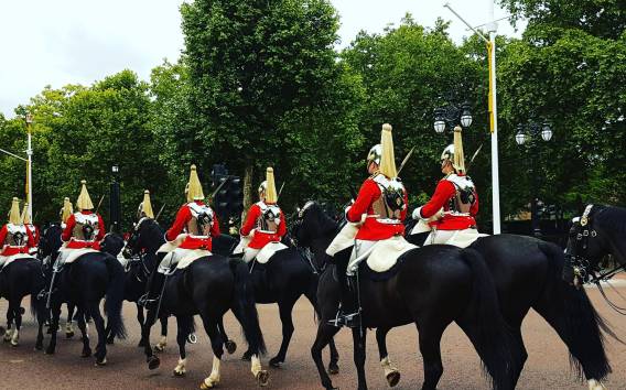 London: Highlights mit Westminster und Buckingham-Palast