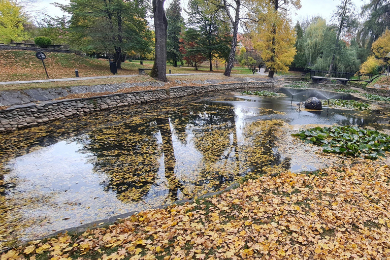 Brasov: Peles Castle, Bran Castle & Belvedere Viewpoint
