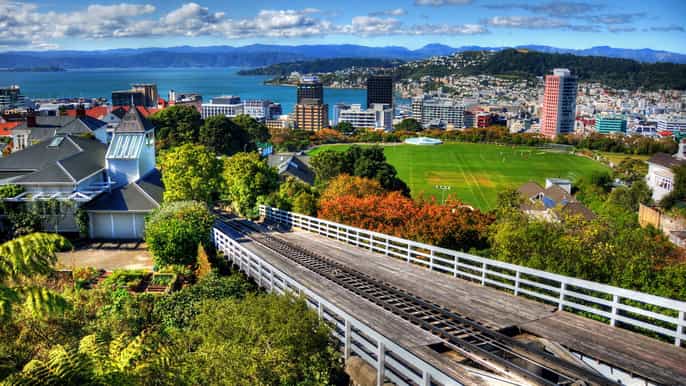 wellington guided sightseeing tour