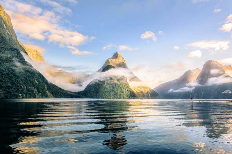 From Queenstown: Milford Sound Premium Day Tour and Cruise | GetYourGuide