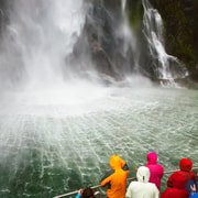 From Queenstown: Milford Sound Premium Day Tour and Cruise