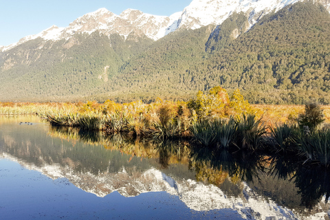 From Queenstown: Milford Sound Premium Day Tour and Cruise Milford Sound Premium Day Tour and Cruise from Queenstown