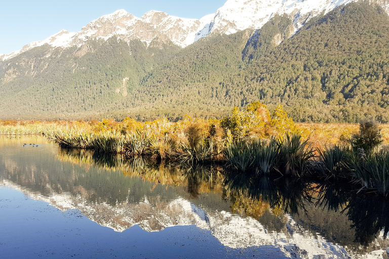 From Queenstown: Milford Sound Premium Day Tour and Cruise Milford Sound Premium Day Tour and Cruise from Queenstown