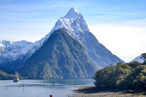 From Queenstown: Milford Sound Premium Day Tour and Cruise Milford Sound Premium Day Tour and Cruise from Queenstown