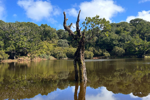 O Oeste Selvagem da Madeira: Falésias, piscinas e locais secretos!