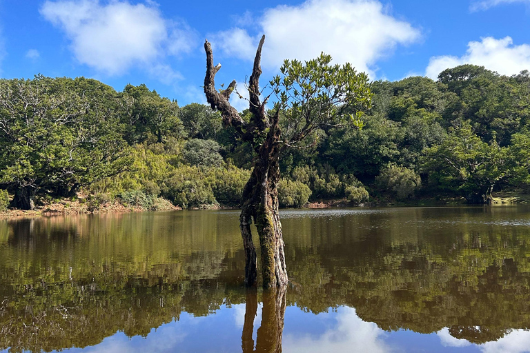 O Oeste Selvagem da Madeira: Falésias, piscinas e locais secretos!