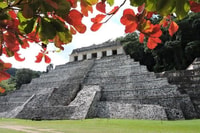 Palenque archeologische site van Palenque - Housity