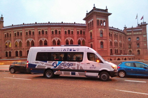 Vanuit Madrid: Dagtocht naar Ávila en Salamanca met gids