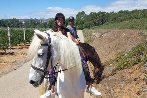 Costa Dorada: Horse Riding and Walking Tour