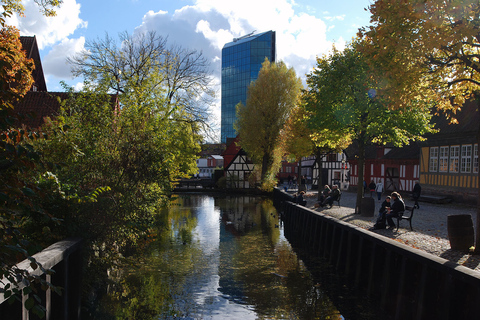 Aarhus Like a Local: Customized Private Tour