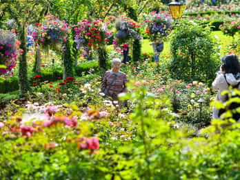 Ab Vancouver: Victoria City und Butchart Gardens Ab Vancouver: Victoria City und Butchart Gardens