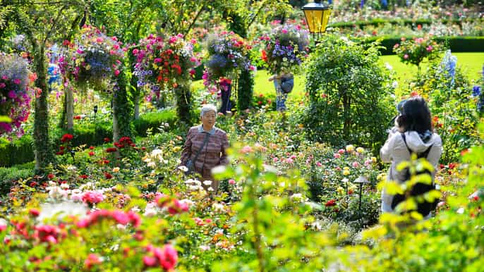 victoria city and butchart gardens