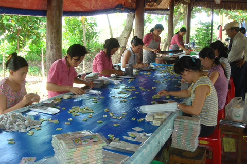 Túneles de Củ Chi y delta del Mekong: tour en grupo reducido