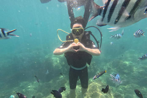 Da Nang: Cham Islands Fun Dive with Lunch and Transfers Fun Divers with Certified - two dive