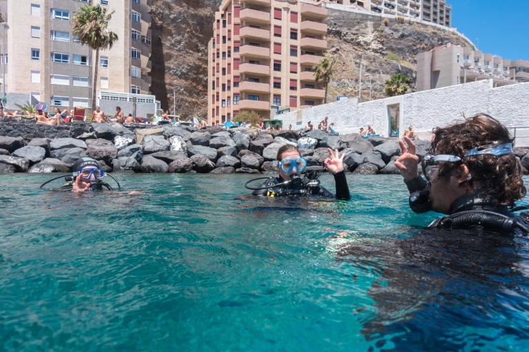 Santa Cruz de Tenerife: introducción al submarinismo PADI
