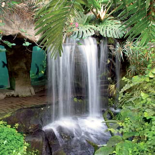 ZooParc de Beauval: Day Admission Ticket