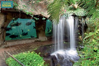 ZooParc de Beauval, Day Admission Ticket - Housity