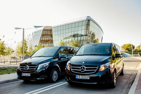 Warsaw Modlin Airport: Premium Private Transfer