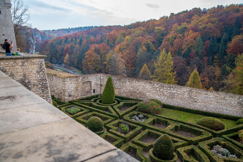 Krakow: Magical day with Alpacas, Castle & Sunset on Water