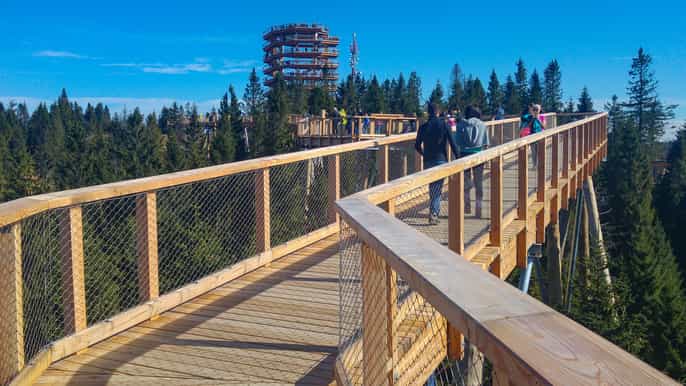 from krakow slovakia treetop walk zakopane thermal spa