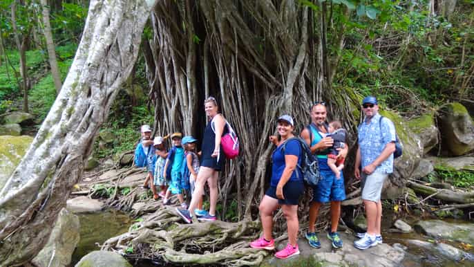maui jungle treasure hunt adventure