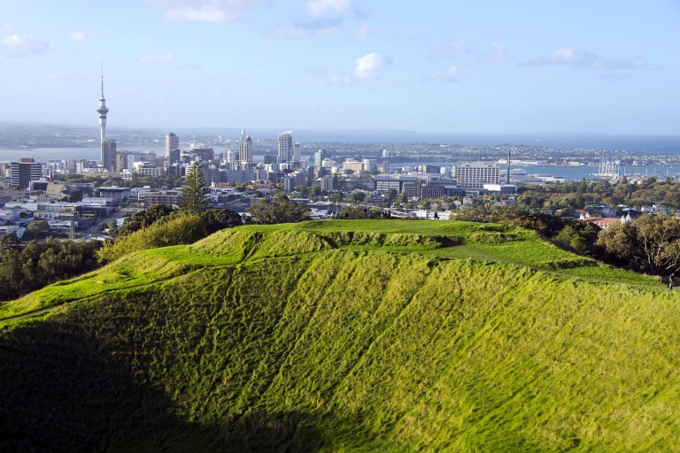 Visite panoramique d'une demi-journée de la ville d'AucklandVisite panoramique de la ville d'Auckland en matinée (demi-journée)