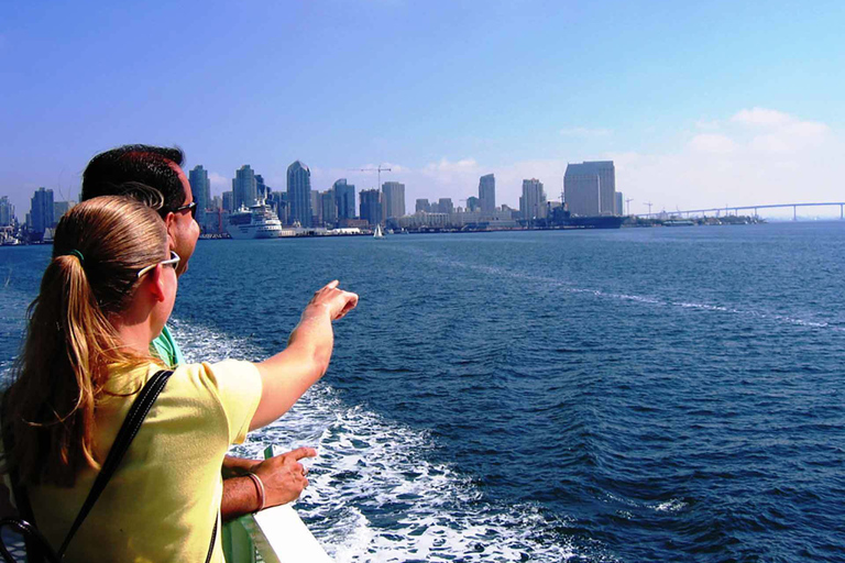 Miami City & Boat Tour with Bike Rental